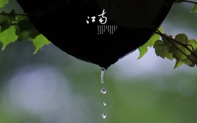 头像绵羊颈似鹅_不是牛马不是骡_戈壁滩上万里行_能耐渴来能忍饿《猜一动物》