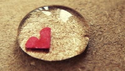 脚穿钉鞋走无声,不爱吃素爱吃腥,白天无事打瞌睡,半夜觅食不点灯《打一个动物》