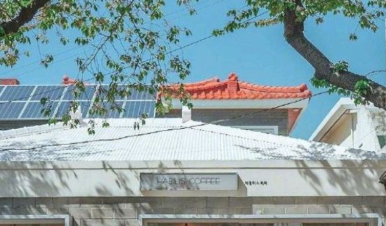 未及亲近终罢了 《历史事件》