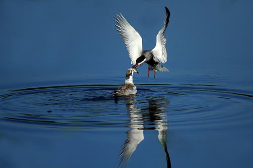 猜谜语题目:上下串通《打一个字》
