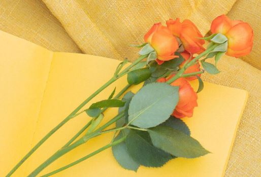 不惜金钱来植树 《九画单字》