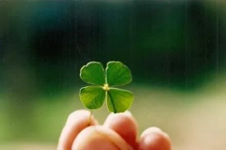 此块确保活棋_言胜负尚早 《五字职务》