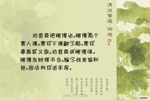 猜谜语题目:古村又变新面貌《打一个植物学》