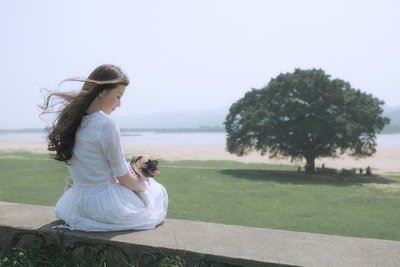婆婆息怒 《五字广告语》