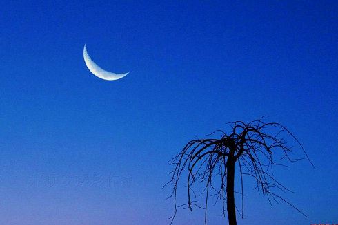 “就着带幌金绳来_要拿孙行者” 《四字招聘广告用语》