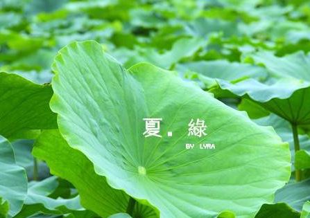 逐步完成新老交替 《中国工程院院士》