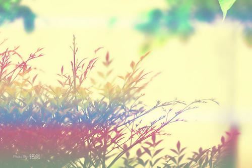 “俗情多不通” 《首都》