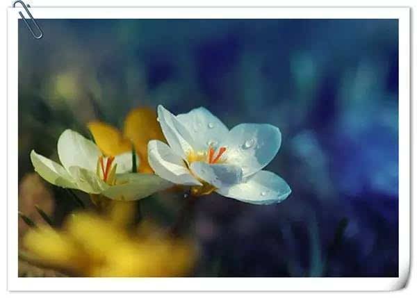 天上的街市《猜一数学词语》