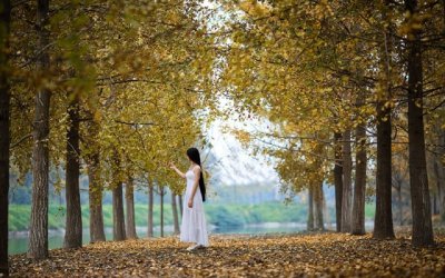 窥镜自视_又弗如远甚- 《五唐》