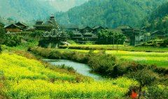 未忘播在绿杨时 《现代文学作品一》