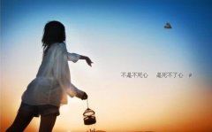 猜谜语题目:超好牙刷《打一个成语》