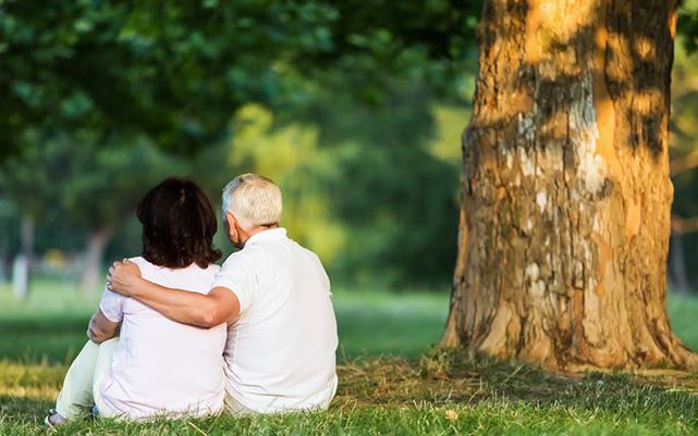 戊寅年序言《猜一动物名》