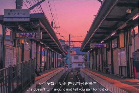 脚着暖底靴_口边出胡须-夜里当巡捕_日里把眼眯《猜一动物》