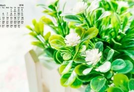 未登程先问归期《猜一数学词语》