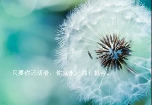 菊花凋零残叶飞 《字8画》