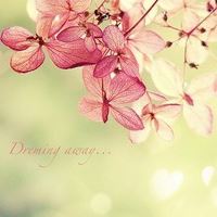 海峡两边欢声动《猜一地理词语》