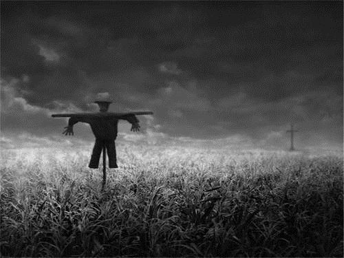 找错字《猜一成语》