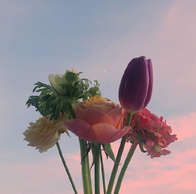 外出分居两地_转眼已近重阳　《猜蔬菜》