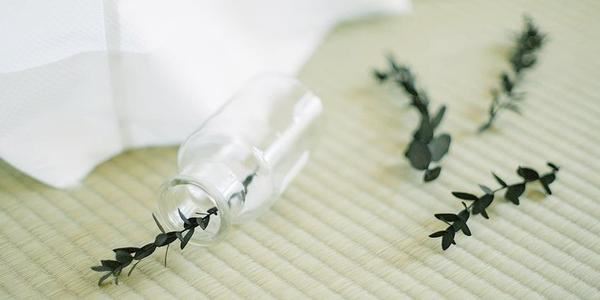 一干十六载_异乡方归来　《猜中药》