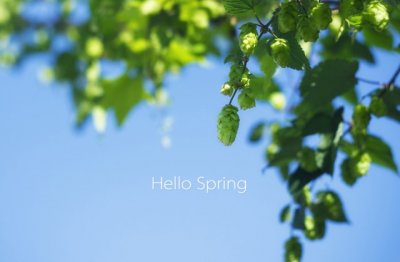 白宫撤兵离越南　《猜成语》