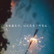 海陆空兵种标志各不同　卷帘格《猜军事名词一》