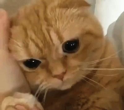 投稿《猜一字谜》