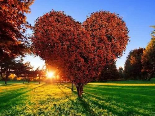 西施脸上出天花《射成语一句》