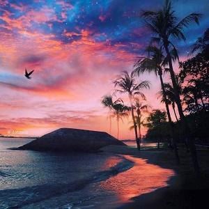 反对走私 《中国近代史词语一》