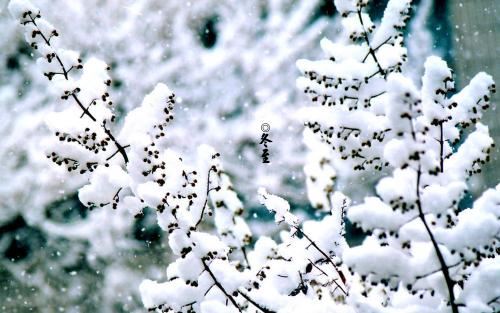 上曰：“人告公反-”　《猜成语》