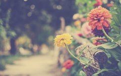 困《猜一人名》