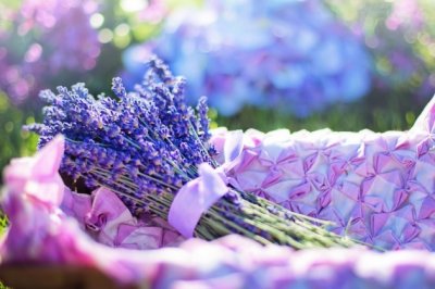 许大功劳出童子《猜一数学词语》