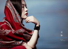 追星热 《教育名词一》
