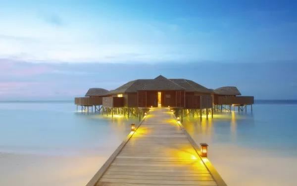 “大牌”行如一阵风 《新称谓》