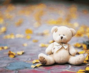 美人 《动物名》