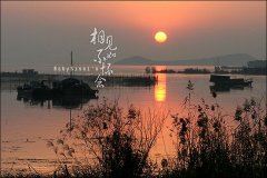 猜谜语题目:五十对耳朵《打一个字》