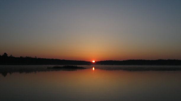 脱了红袍子_是个白胖子_去了白胖子_剩个黑丸《猜一植物》