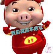 践元后于 《《晁错论》句》