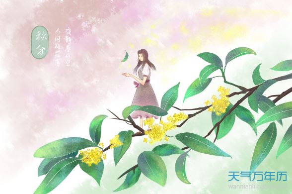 翩跹下凡 《环保词语一》