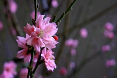 敖闰降雨 《中分字》