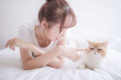 一颗心值多少钱?