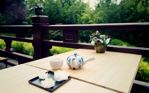 小小伞兵随风飞_飞到东来飞到西_降落路边田野里_安家落户扎根基-《猜一植物》