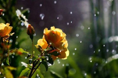 愁心已退挥手别 《十二画单字》