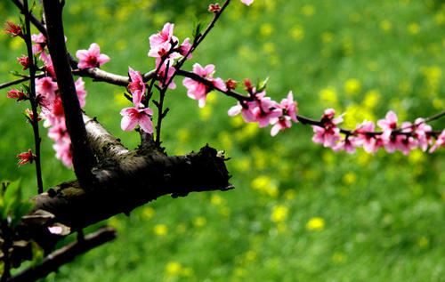 猜谜语题目:闹《打一个成语》