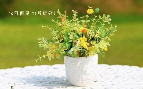 如山如阜《猜一字谜》