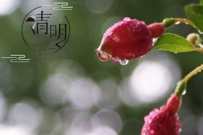 书包课本文具盒 《环保词语二》