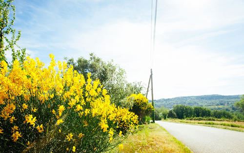 一贯重视自我批评《党史人名》