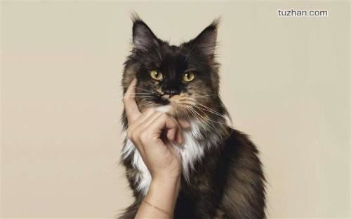 猜谜语题目:剪不断,理还乱《打一个成语》