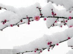 春风又绿古宅苑 《地名》