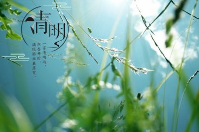 猜谜语题目:吃光用光《打一个植物学词》