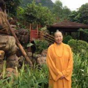 草木库应多一点 《中草药名》